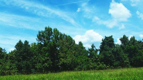 Scenic view of grassy field against cloudy sky