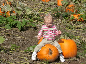 Full length of boy standing by pumpkins on field