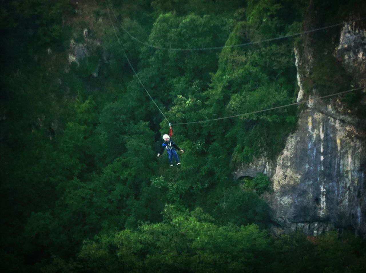 leisure activity, lifestyles, tree, men, adventure, forest, full length, mountain, nature, extreme sports, green color, high angle view, growth, rear view, beauty in nature, person, hiking