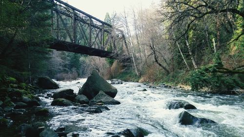 River flowing through rocks