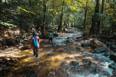 Rear view of people walking in forest