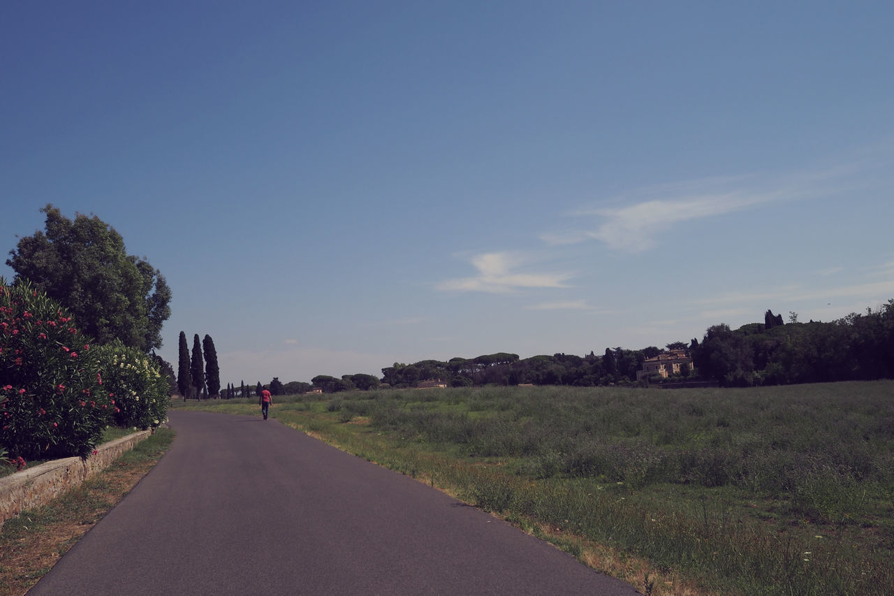 ROAD AMIDST GREEN LANDSCAPE AGAINST SKY