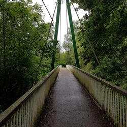 Footbridge amidst trees in forest