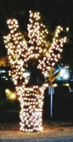 Defocused image of illuminated trees at night