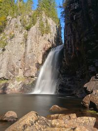 Scenic view of waterfall in forest