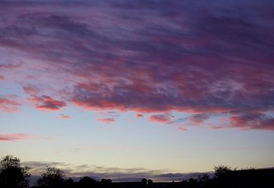 Low angle view of silhouette trees against sky at sunset