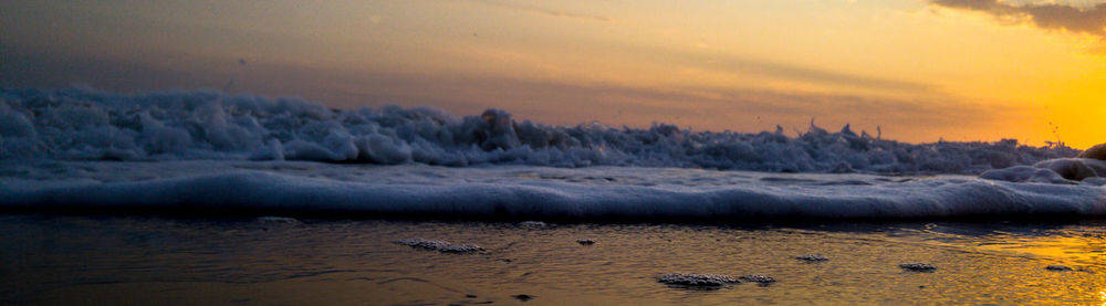 Birds on beach against sky during sunset