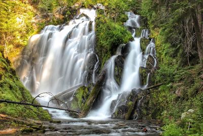 Scenic view of waterfall in forest