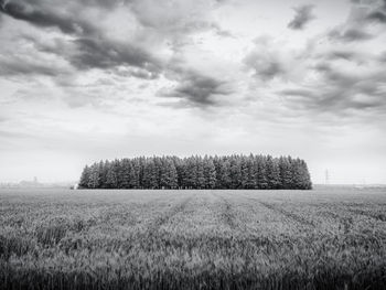Scenic view of agricultural field against cloudy sky