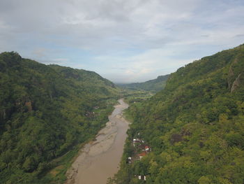 Scenic view of road amidst trees against sky