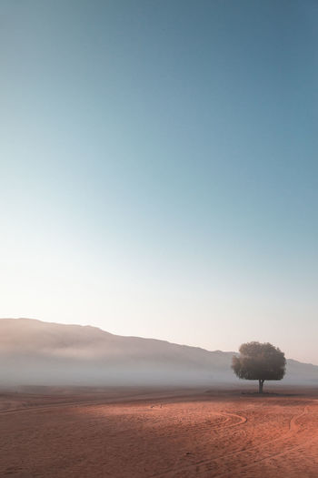 Scenic view of field against clear sky