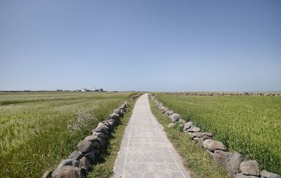 Dirt road amidst field against clear sky