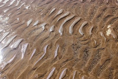 Full frame shot of wet sand