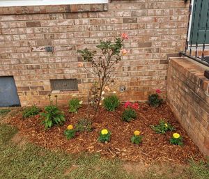 Flowering plants against brick wall of building