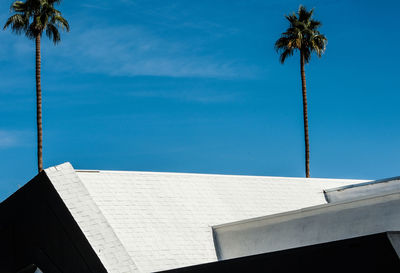 Low angle view of coconut palm tree against blue sky