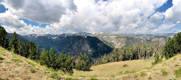 Panoramic shot of trees on landscape against sky