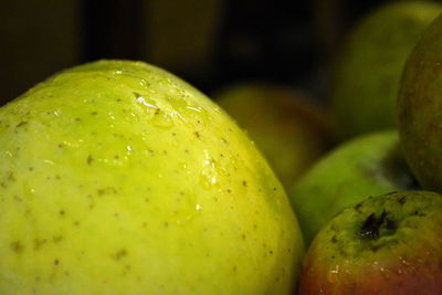 Close-up of green fruit