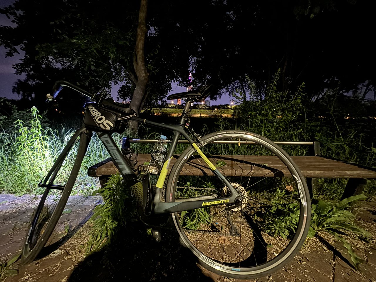 transportation, bicycle, mode of transportation, plant, land vehicle, vehicle, no people, nature, mountain bike, tree, night, wheel, sports equipment, outdoors, cycle sport, cycling, parking, grass, land