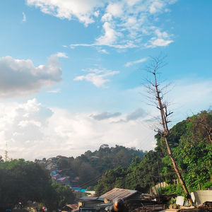 Houses and buildings in town against sky