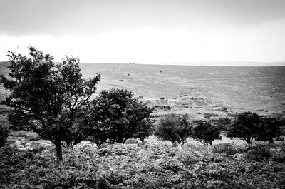 Scenic view of calm sea against sky