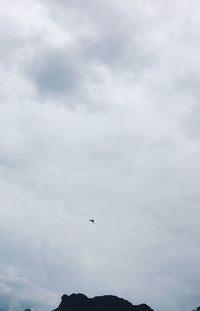 Low angle view of bird flying in sky