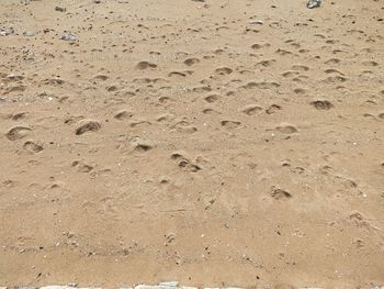 Full frame shot of a sand