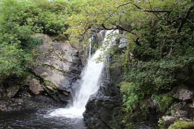 View of waterfall in forest