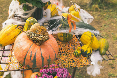 Pumpkins halloween garden decor with flowers, web and pine cones