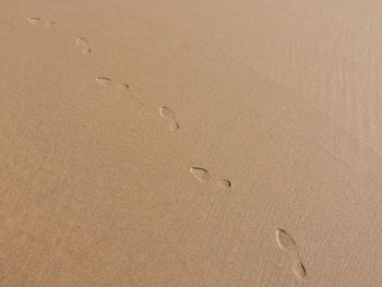 High angle view of footprints on sand at beach