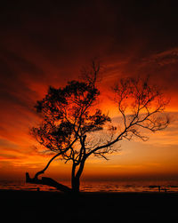 Silhouette tree by sea against romantic sky at sunset