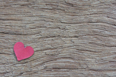 Close-up of heart shape on tree trunk