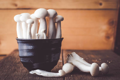 Close-up of mushrooms on table