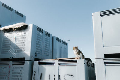 Low angle view of cat sitting on box against clear sky