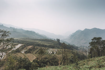 High angle view of terraced fields near mountains