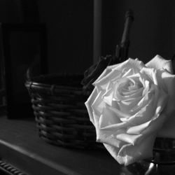 Close-up of object on table