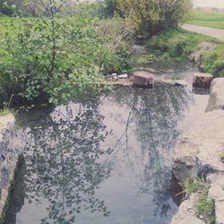 water