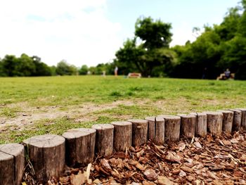 Wooden log on field against trees in forest