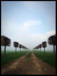 Road passing through field