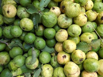 Full frame shot of fruits for sale in market