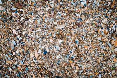 Full frame shot of pebbles on beach