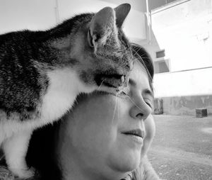 Close-up portrait of cat looking away