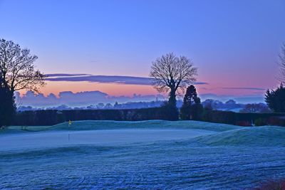 Bare trees on snow covered landscape