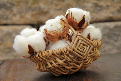 Close-up of plant against blurred background