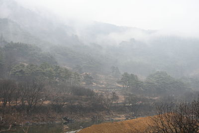 Scenic view of landscape against sky during foggy weather