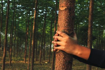 Close-up of man holding tree trunk in forest