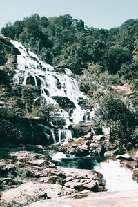 Scenic view of waterfall in forest