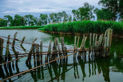 Wooden posts in lake against sky