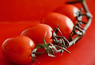 Close-up of tomatoes over red background