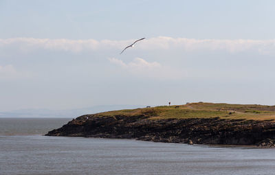 Scenic view of sea against sky with a seagull in flight