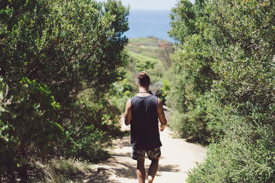 Rear view of man walking on footpath amidst trees